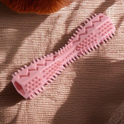 jouet chien -brosse à dents hygiène dentaire-rose