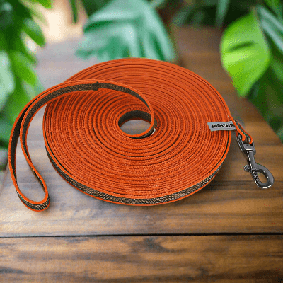 laisse chien - latex soie -orange-demo