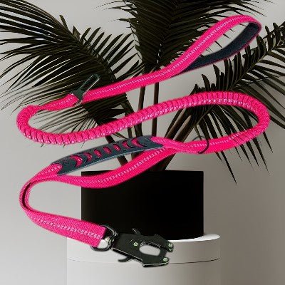 Laisse pour chien / ceinture - au royaume des chiens