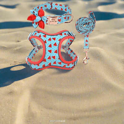 laisse-pour-chien-estivale-motif-melondeau-laisse-collier