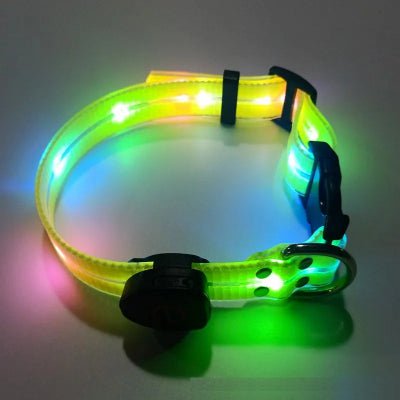 laisse-pour-chien-lumineuse-collier-jaune-demo