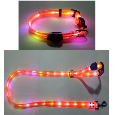 laisse-pour-chien-lumineux-collier-laisse-orange-kit