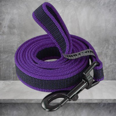 laisse-pour-chien-moyen-bleu