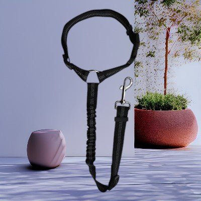 laisse-pour-chien-voiture-noir