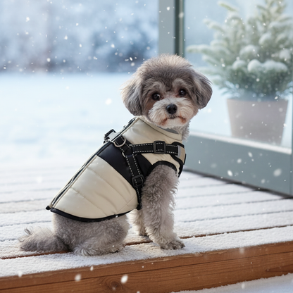 Lifestyle beige - perron hivernal
