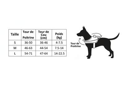 Tableau de taille harnais corrigé
