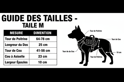 Tableau de taille harnais militaire M - Grand format