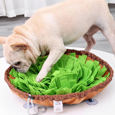 tapis-de-fouille-laitue-chien-cherche