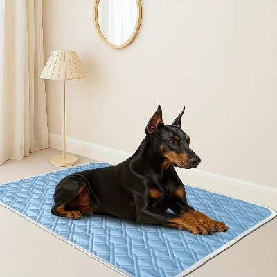 tapis de refroidissement pour chien -  été lavable portable-chien-confortable