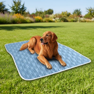 tapis de refroidissement pour chien -  été lavable portable-Grand chien sur tapis bleu extérieur