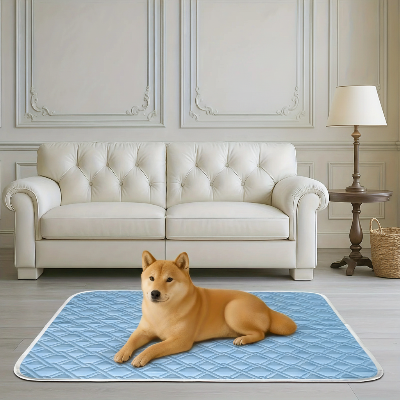 tapis de refroidissement pour chien -  été lavable portable-Petit chien sur tapis bleu