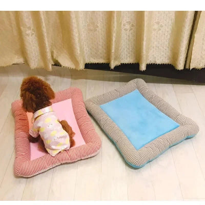 tapis rafraichissant chien  - Coussin de refroidissement respirant-bleu-rose-chien-assis-dans-le-rose